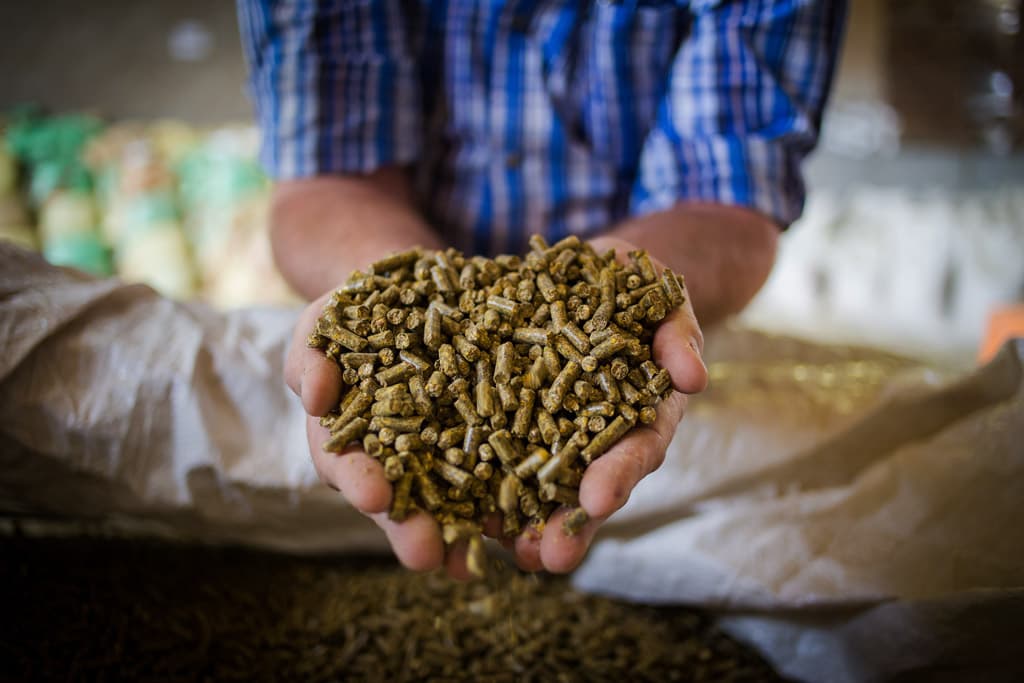 Pellets de madera en Galicia